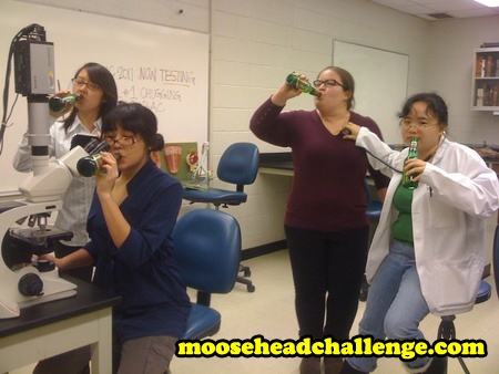 How Much Moosehead is Too Much Moosehead?