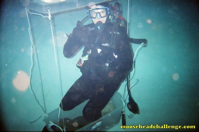 350mL Under the Sea